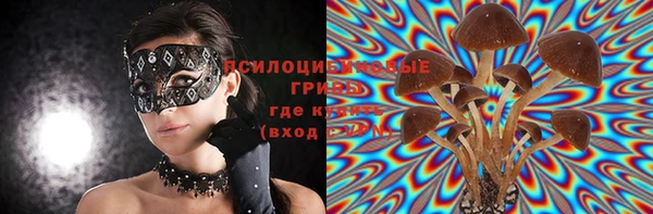 индика Абдулино