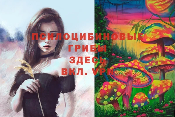 ПСИЛОЦИБИНОВЫЕ ГРИБЫ Абинск