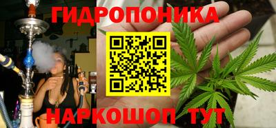 гидра Донецк