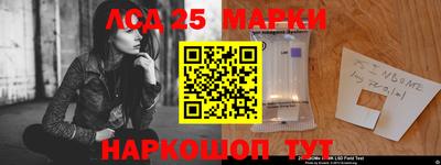 гидра Донецк