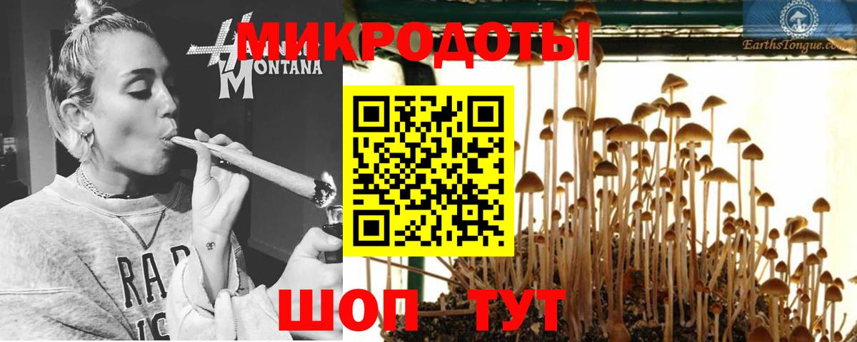 Галлюциногенные грибы GOLDEN TEACHER Сорочинск