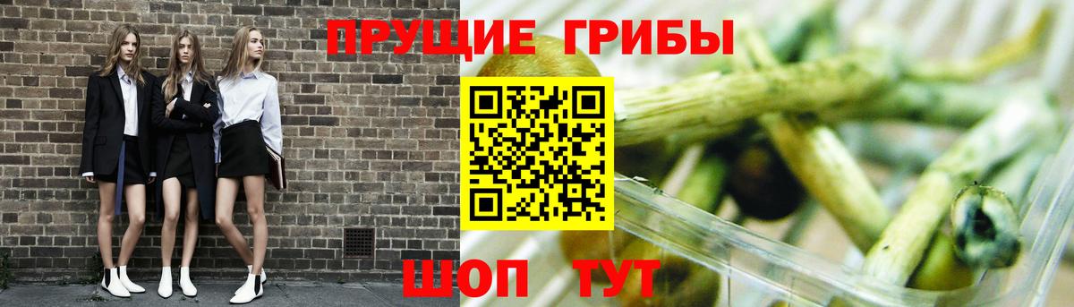 Псилоцибиновые грибы MAGIC MUSHROOMS  Галлюциногенные грибы Magic Shrooms  Вход с VPN  Сорочинск 
